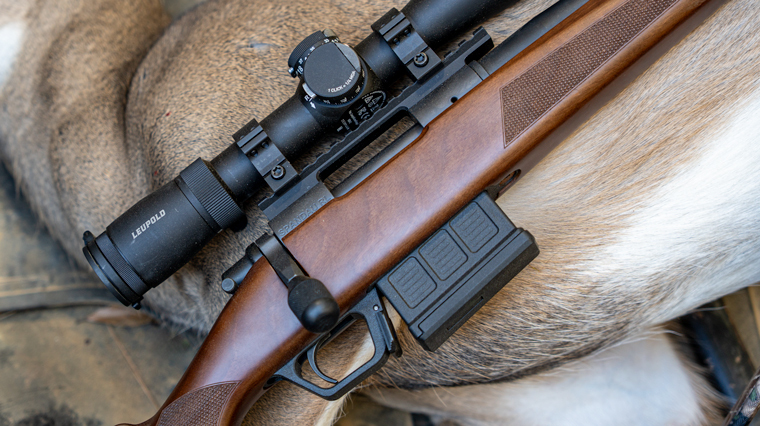 Bolt Action Rifles Image