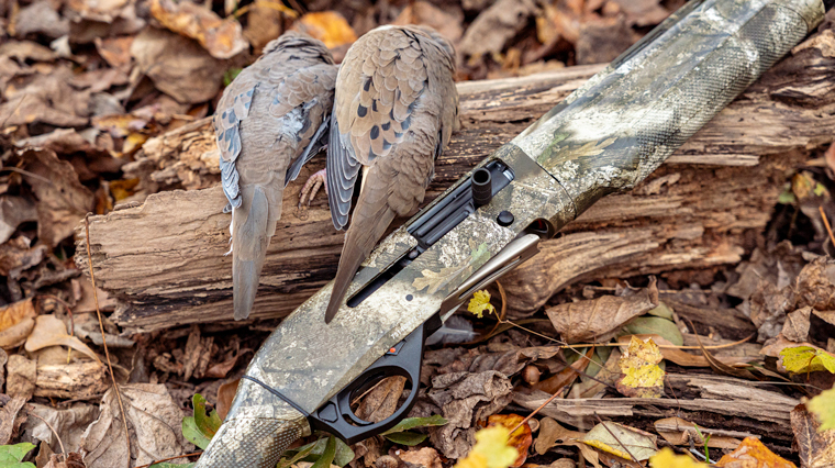 Semi-Auto Shotguns Image