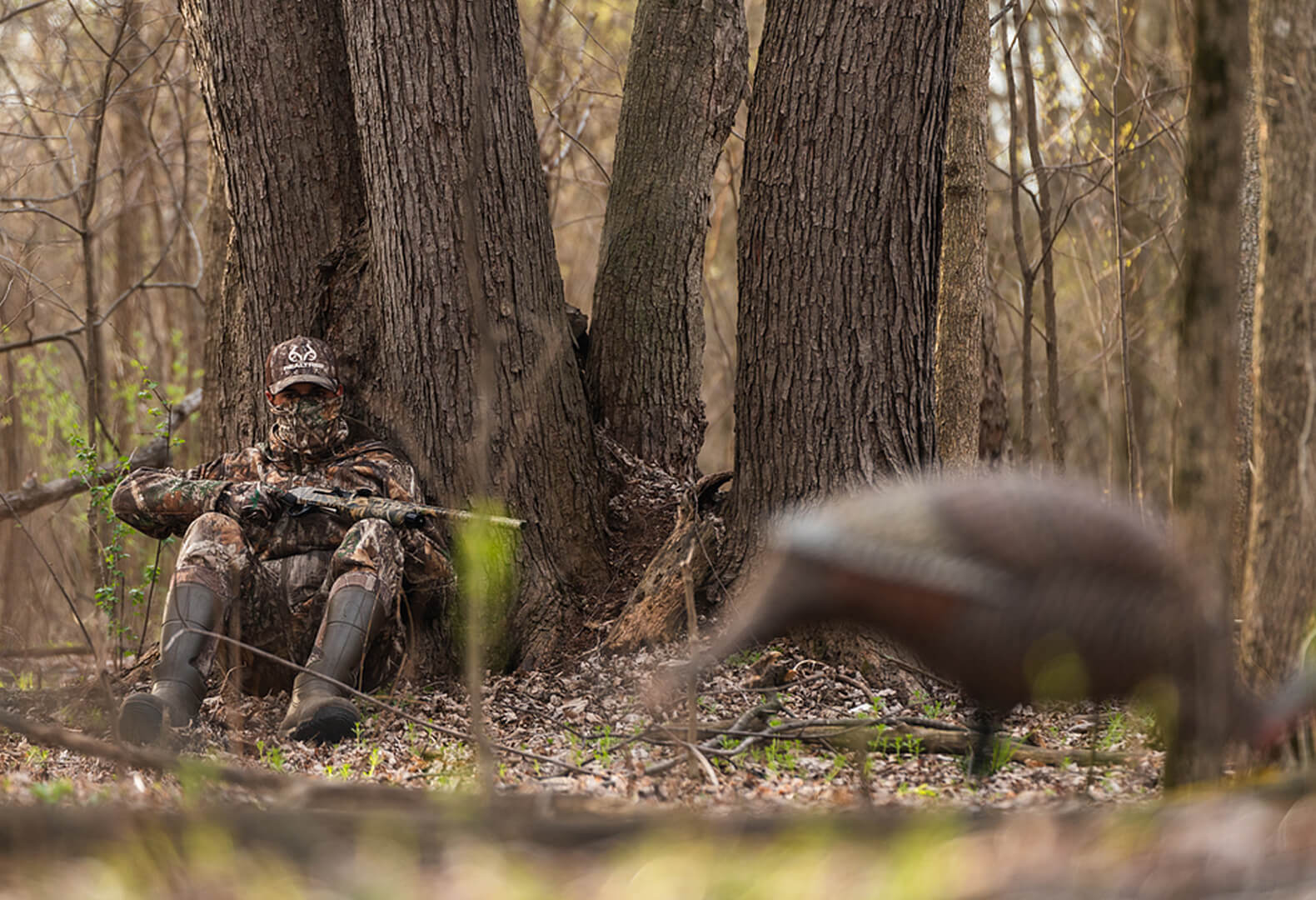 Modern Performance Image